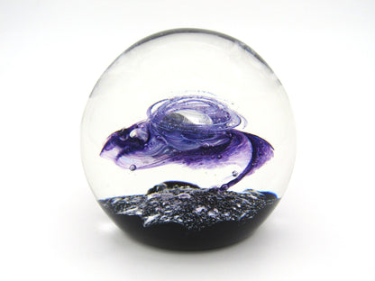 Limited Edition Selkirk Starburst paperweight, 1984.