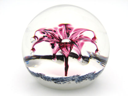 Selkirk Art Glass paperweight, Firecracker, 1997.