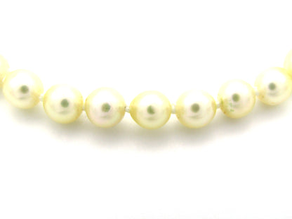 Akoya cultured pearl choker with 9K gold clasp, circa 1950's.