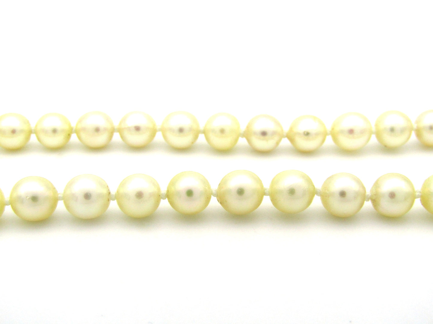 Akoya cultured pearl choker with 9K gold clasp, circa 1950's.